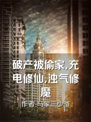 破产被偷家，充电修仙，浊气修魔