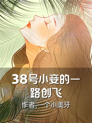 38号小妾的一路创飞