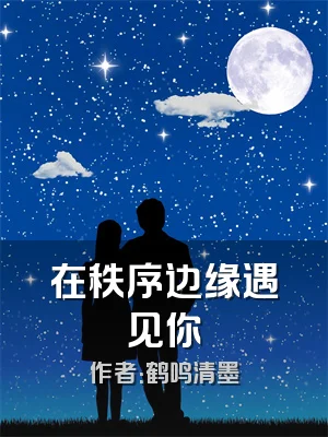 在秩序边缘遇见你