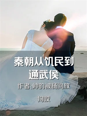 秦朝从饥民到通武侯