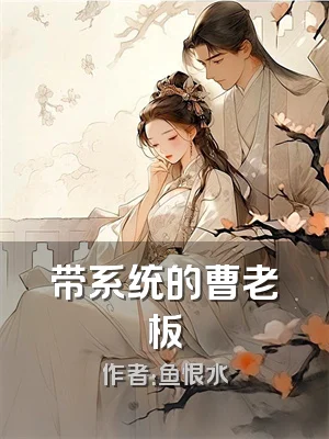 带系统的曹老板