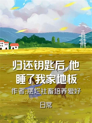 归还钥匙后，他睡了我家地板