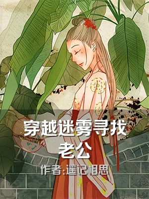 穿越迷雾寻找老公