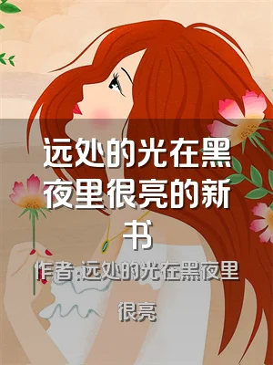 远处的光在黑夜里很亮的新书