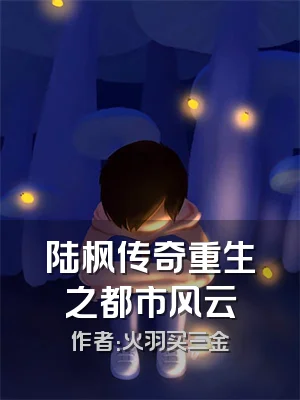 陆枫传奇重生之都市风云