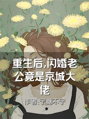 重生后，闪婚老公竟是京城大佬