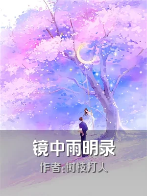 镜中雨明录