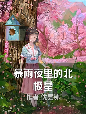 暴雨夜里的北极星