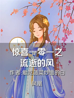 惊喜一零一之流逝的风