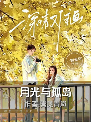 月光与孤岛