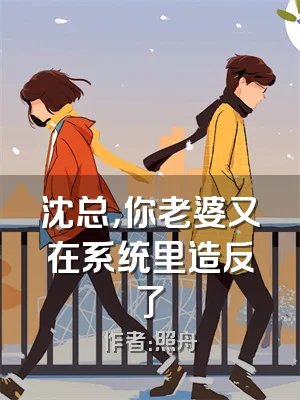 沈总，你老婆又在系统里造反了