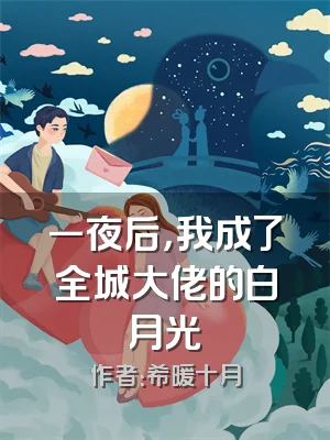 一夜后，我成了全城大佬的白月光