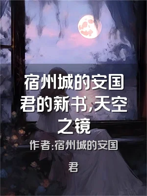 宿州城的安国君的新书，天空之镜