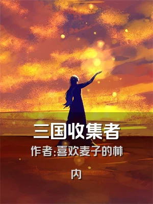 三国收集者