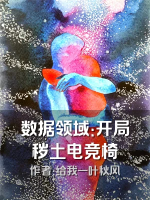数据领域：开局秽土电竞椅