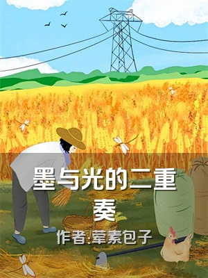 墨与光的二重奏