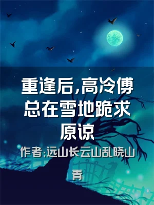 重逢后，高冷傅总在雪地跪求原谅