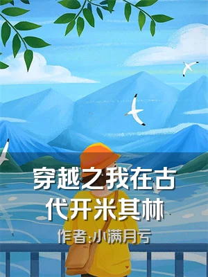 穿越之我在古代开米其林