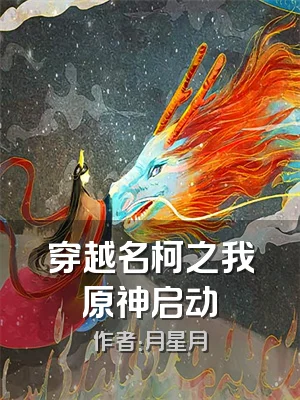 穿越名柯之我原神启动