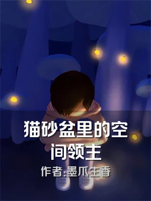 猫砂盆里的空间领主
