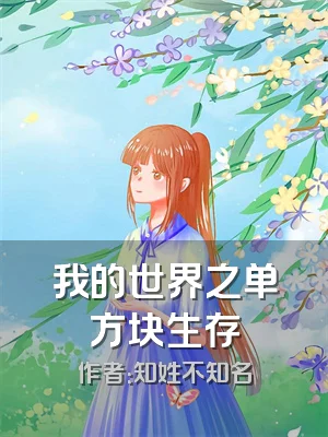 我的世界之单方块生存