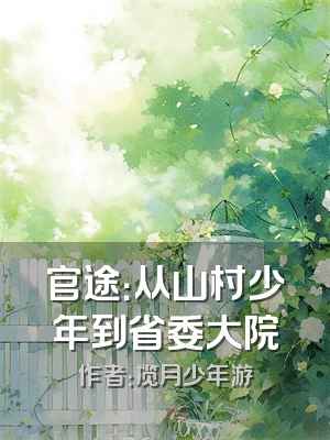 官途：从山村少年到省委大院