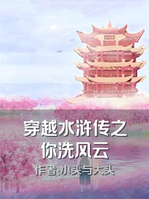 穿越水浒传之你洗风云