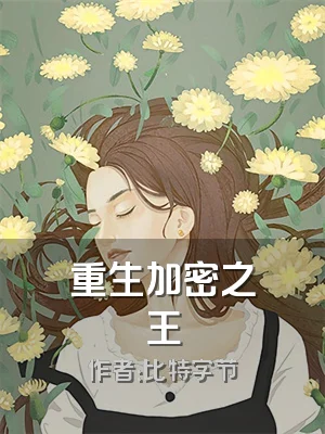 重生加密之王