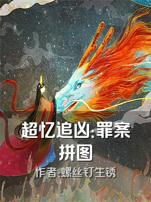 超忆追凶：罪案拼图