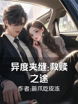 异度夹缝：救赎之途