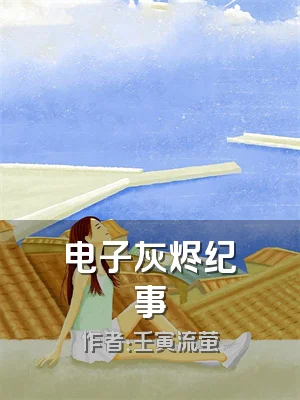 电子灰烬纪事