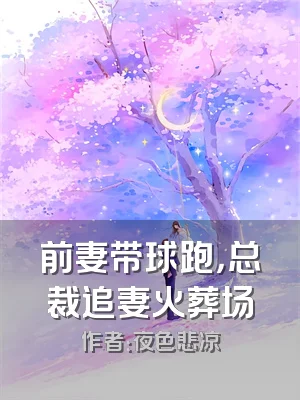 前妻带球跑，总裁追妻火葬场