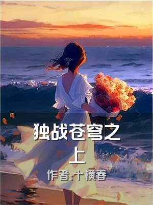 独战苍穹之上
