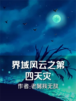 界域风云之第四天灾