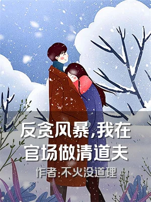 反贪风暴，我在官场做清道夫