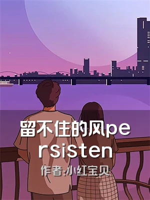 留不住的风persisten