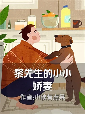 黎先生的小小娇妻