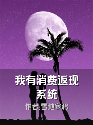 我有消费返现系统