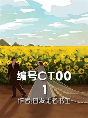 编号CT001