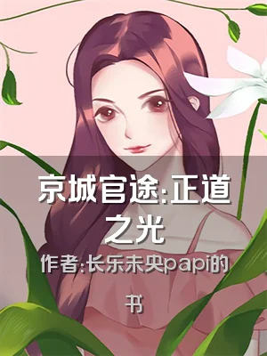 京城官途：正道之光