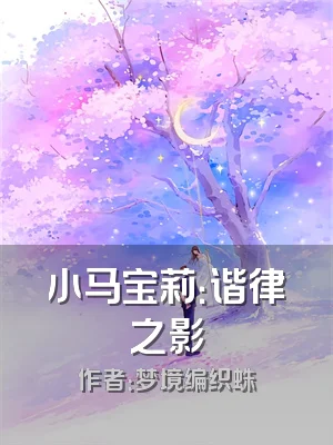 小马宝莉：谐律之影