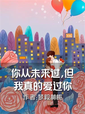 你从未来过，但我真的爱过你