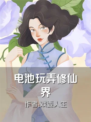 电池玩弄修仙界