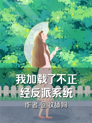 我加载了不正经反派系统