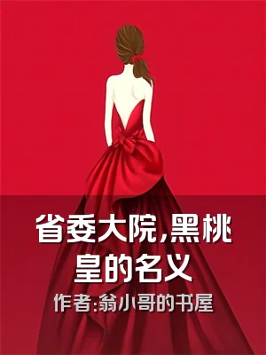 省委大院，黑桃皇的名义