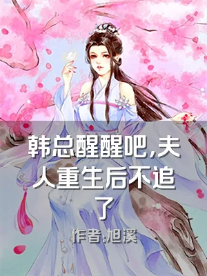 韩总醒醒吧，夫人重生后不追了