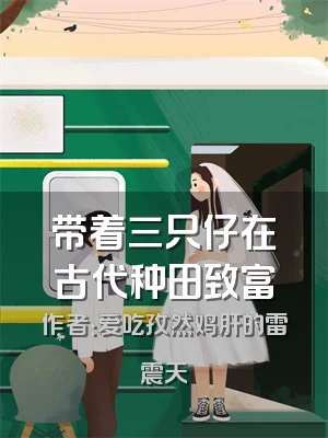 带着三只仔在古代种田致富