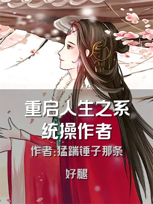 重启人生之系统操作者