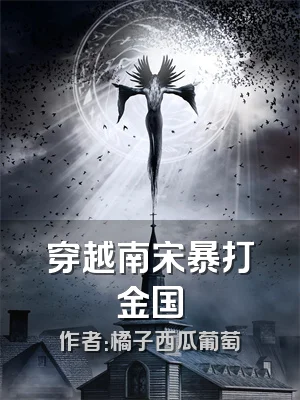 穿越南宋暴打金国