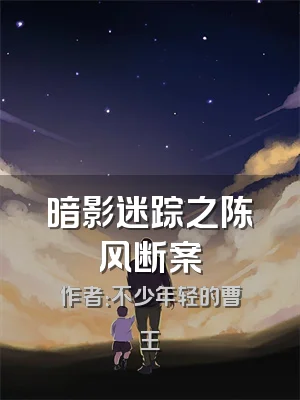 暗影迷踪之陈风断案